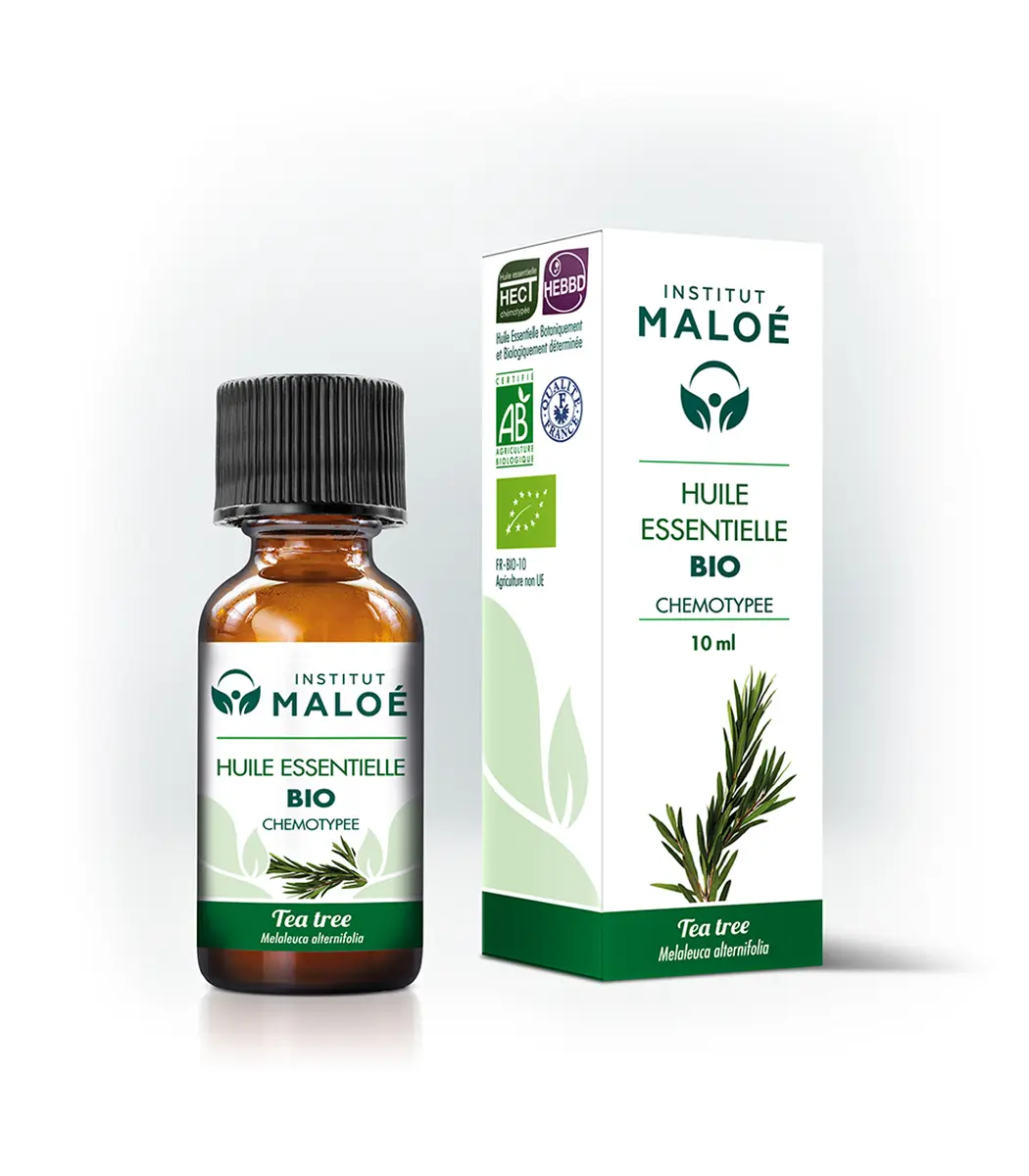 huile-essentielle-arbre-a-the-bio_10ml Huile essentielle Arbre à thé BIO
