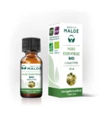 Huile essentielle Eucalyptus mentholé BIO