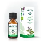 Huile essentielle Menthe poivrée BIO